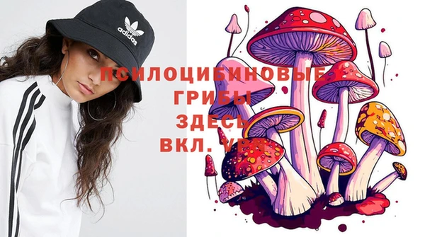 PSILOCYBIN Богородск